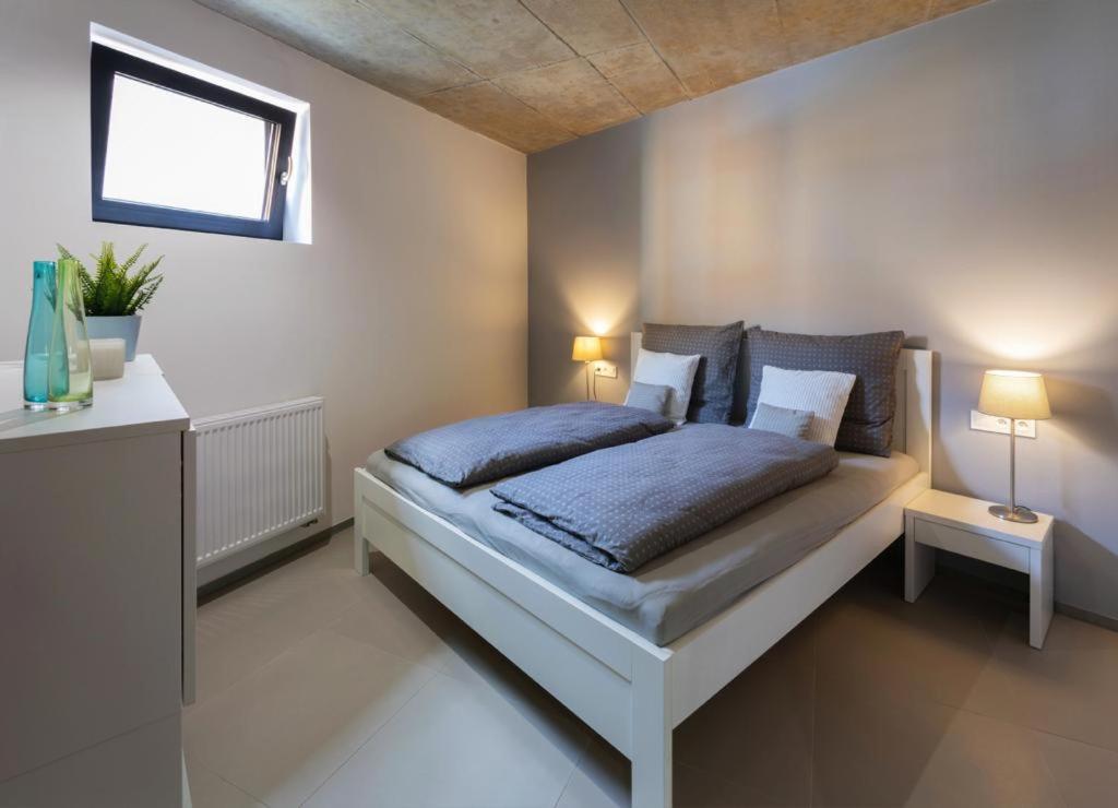 Nerudovka Apartment Karlovy Vary Dış mekan fotoğraf