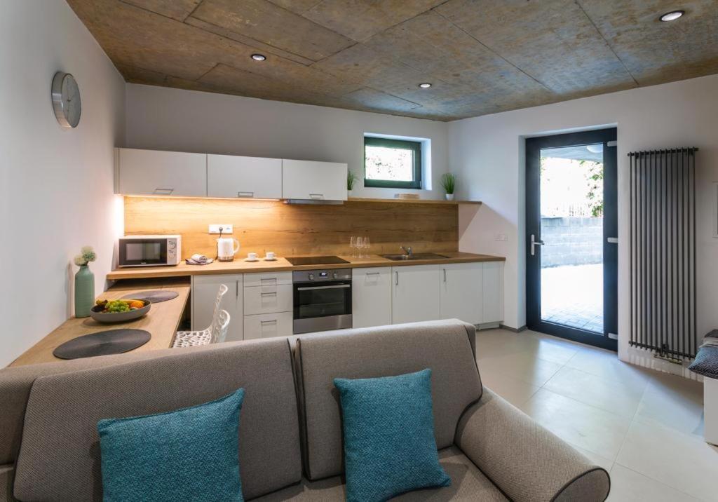 Nerudovka Apartment Karlovy Vary Dış mekan fotoğraf